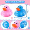 Deekin 24 Pieces Pink Blue Gender Reveal Rubber Ducks in Bulk Mini Ducky Bath Toys Small Ducks for Baby Shower Gender Reveal Party Favor Decorations(Team Boy / Girl) view 2