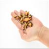 Gecko, Orange, Reptiles, Hand Made, Thailand Sand Creatures, Toy, Paper Weight, Bean Bag, Cornhole 3" TH9 BB67 view 3