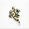 Gecko, Brown, Reptiles, Brown, Hand Made, Thailand Sand Creatures, Toy, Paper Weight, Bean Bag, Cornhole 3" TH8 BB67 view 3