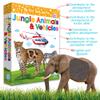 My Touch and Feel English Spanish Bilingual Picture Double Sided Sensory Flash Cards for Infant, Toddlers, Kids, Learn Animals, Fruits, and Vehicles, Fun Learning and Educational Flashcards view 3