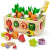 Coogam Montessori Fine Motor Toys for Baby Toddler, Wooden Shape Sorter Carrot Harvest Game for Easter Basket Stuffer, Preschool Learning Educational Gift Toy for 3 4 5 Year Old view 1