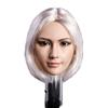 1/6 Scale Female Head Sculpt,Asian Girl Suntan Skin Planted Hair Head Carved for 12inch PH TBL JO Action Figure Body (Short White Hair) view 1