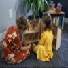 AmishToyBox.com Wooden Doll House Toy with 16 Piece Doll-House Furniture Set - Easy Access with Opening Design (Natural and Harvest Stain) view 4