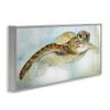 Stupell Industries 'Peaceful Sea Turtle Swimming', Framed Giclee Art, Gray, 24 x 10 Inches, Easy to Hang and Sturdy, Made in USA, by Diannart view 2