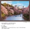 1000 Piece Jigsaw Puzzle, Houndstooth Cherry Blossom (Tokyo), 19.7 x 29.5 inches (50 x 75 cm), 10-1436 view 2