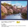 1000 Piece Jigsaw Puzzle, Houndstooth Cherry Blossom (Tokyo), 19.7 x 29.5 inches (50 x 75 cm), 10-1436 view 4