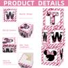2nd Birthday Party Favors Balloon Boxes Supplies for Baby, Girls 3Pcs Pink Mouse Theme Two Year Old Balloon Boxes, 'TWO' Letters Balloon Arch Kit for Party Decorations view 4