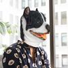 PartyHop Pitbull Dog Mask Animal Latex Full Head Mask Fancy Dress for Halloween Costume Party view 2
