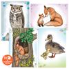 Depesche 12178 Wild Animals Tracing Book with 24 Designs of Different Forest Dwellers and a Transparent Sheet of Paper for Tracing view 3
