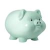 JGATW Money Bank Pig Piggy Bank Ceramic Money Box Cute Coin Bank Box Saving Coins Cash Fun Gift Great Gift (Color : Green Can in and Out) view 1