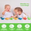 Coogam Matching Letters Fine Motor Toy, 26 PCS Double-Sided ABC Dinosaur Alphabet Match Game with Uppercase Lowercase, Preschool Educational Montessori Learning Toys for Toddlers view 4