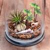 Abaodam Simulated Coconut Tree Decoration Miniature Palm Tree for Micro Landscape DIY Terrarium Garden Dollhouse Decor 4.9 Inch Waterproof Artificial Plant view 4