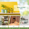 Abaodam Mini Coconut Palm Tree Decoration 3 Pieces Artificial Miniature Trees for Fairy Garden Dollhouse Micro Landscape DIY Ornaments view 3