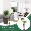 Abaodam Mini Coconut Palm Tree Decoration 3 Pieces Artificial Miniature Trees for Fairy Garden Dollhouse Micro Landscape DIY Ornaments view 4