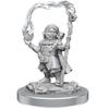 D&D Nolzur's Marvelous Miniatures: Halfling Wizards view 1