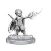 D&D Nolzur's Marvelous Miniatures: Halfling Wizards view 3