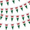 10m Welsh Triangle Bunting Banner Triangle Flags St Georges Day Euro Cricket Rugby Football World Cup Sports Events Street Party Decoration. view 1