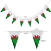 10m Welsh Triangle Bunting Banner Triangle Flags St Georges Day Euro Cricket Rugby Football World Cup Sports Events Street Party Decoration. view 2