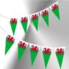 10m Welsh Triangle Bunting Banner Triangle Flags St Georges Day Euro Cricket Rugby Football World Cup Sports Events Street Party Decoration. view 3