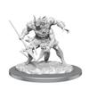 WizKids D&D Nolzur's Marvelous Miniatures: Sahuagin Baron view 1