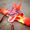 8 Meters (26.2 FT) Square Exercise Dance Dragon Poi with 3D Dragon Head and Swing Rope Combo, Chinese Dragon Dance Wulong Flowy Ribbon Streamer Outdoor Fitness Dragon Stage Prop Set (Golden Red) view 3