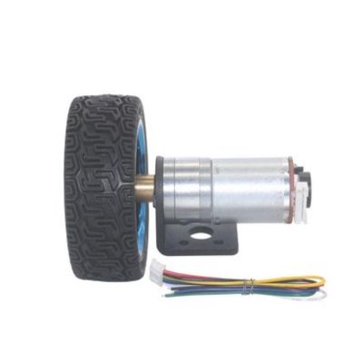 LVLOZ Dc Motor Gears Geared Dc Motor JGA25-370 24v High Torque Electric Brushes 24v Dc Motor with Encoder Hobby Motor (Size : 12rpm, Color : 6V)