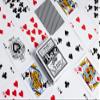 Bee Signature Series Playing Cards Deck, 1 Deck of Black Playing Cards, Thin Crushed, Special Edition view 4