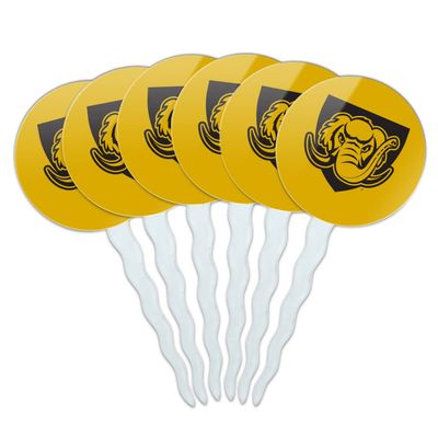 GRAPHICS & MORE Purdue University - Fort Wayne Secondary Logo Cupcake Picks Toppers Decoration Set of 6