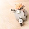 Hamster Stunt Spinning Motorcycle 360 Degree Rotating Toy Light Music Electric Scooter Creative Toy Gifts Pet Supplies(Grey) view 4