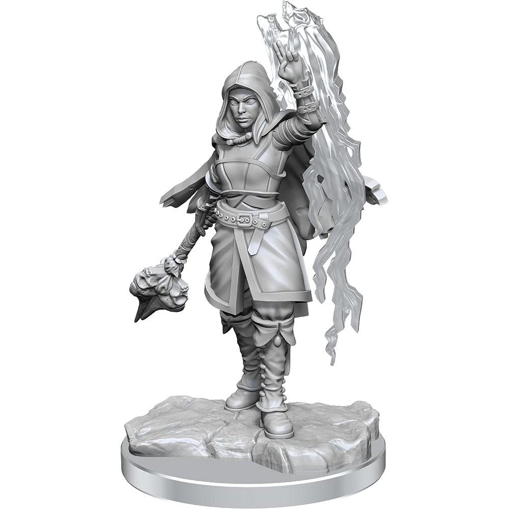 WizKids D&D Nolzur's Marvelous Miniatures: Half-Elf Warlock Unpainted Dungeons and Dragons Miniatures