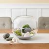 U.S. Shell Light Shell Mix with Starfish Gift Pack, 12 Pack view 2