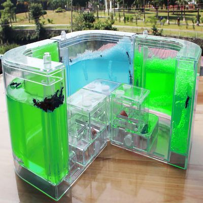 EXBEPE Large Ant Farm Gel Ant Colony Ecosystem Terrarium, Ant Habitat Science Learning Kit(with No Ant)
