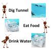 EXBEPE Large Ant Farm Gel Ant Colony Ecosystem Terrarium, Ant Habitat Science Learning Kit(with No Ant) view 3