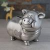 PAASHE Money Banks Metal Piggy Bank Creative Piggy Coin Can Large Capacity with Rubber Stopper Money Box Great Toy Gift for Boys and Girls Cute view 2