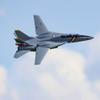 E-flite RC Airplane F-14 Tomcat Twin 40mm EDF BNF Basic Transmitter Battery and Charger Not Included EFL01450 view 4