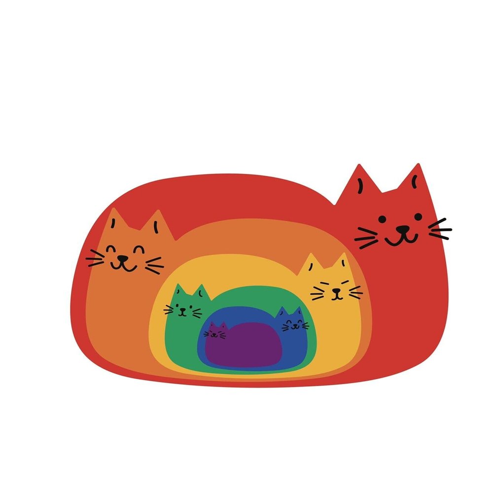 3 Rainbow Cats Sticker Cute Funny Kitty Sitting Silly Weird Unique Cool