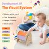 YAANI Montessori Spinning Drum, Baby Toys 6-12 Months, Montessori Toys for 1 Year Old, Sensory Toys, Toddler Toys, Baby Boy Gifts, Toys for Girls, Baby Girl, Toys for 2 Year Old, Montessori Toys view 3