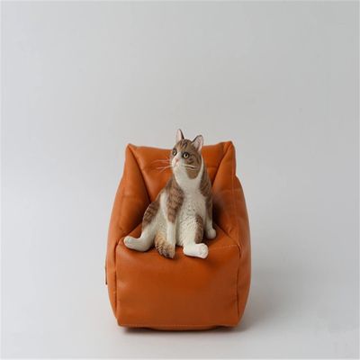 1/6 Scale Little Pig Rabbit Lazy Cat 3.0 Resin Pet Animal Model Scene Props for 12inch Action Figure (F-Cat)