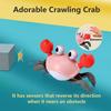 control future Baby Girl Toys Tummy Time: Pink Crawling Crab Babies Montessori Toy Learning 36 Months 3 Year Old Birthday Infant Girls Valentines Gifts Stuff 0 1 2 Essentials view 2