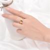 ANIEJUFI Stainless Steel Spinner Anxiety Ring Puppy Dog Paw Cat Footprints Rainbow Fidget Rings for Men Women Gold Size 10 view 2