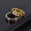 ANIEJUFI Stainless Steel Spinner Anxiety Ring Puppy Dog Paw Cat Footprints Rainbow Fidget Rings for Men Women Gold Size 10 view 4