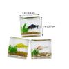 ibasenice Miniature Koi Fish Tank  Realistic 1:12 Scale Dollhouse Aquarium with Faux Water & Vibrant Fish  Shatterproof Tiny Desktop Decor for Fairy Gardens & DIY Crafts (1 Inch) view 3