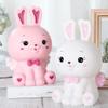 FOMIYES Piggy Bank Rabbit Rabbit Coin Jar Boys and Girls Money Saving Bank Tabletop Decorative view 3
