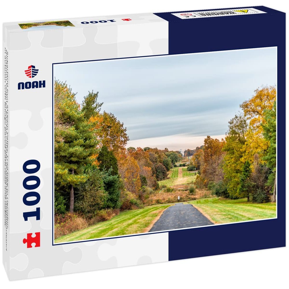 Noah Jigsaw Puzzle Sugarland Run Stream Valley Trail Hike in Herndon, Northern Virginia Fairfax County Residential Neighborhood in Autumn with Foliage Paved Path Road and Nobody 1000 Pieces
