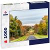 Noah Jigsaw Puzzle Sugarland Run Stream Valley Trail Hike in Herndon, Northern Virginia Fairfax County Residential Neighborhood in Autumn with Foliage Paved Path Road and Nobody 1000 Pieces view 1