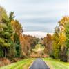 Noah Jigsaw Puzzle Sugarland Run Stream Valley Trail Hike in Herndon, Northern Virginia Fairfax County Residential Neighborhood in Autumn with Foliage Paved Path Road and Nobody 1000 Pieces view 2