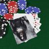 Brian Bula Witch Gothic Playing Cards Art Halloween Horror Scary Poker Cards view 3