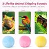 Potaroma 3 Chirping Balls and Smart 3 in 1 Cat Toy view 2