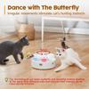 Potaroma 3 Chirping Balls and Smart 3 in 1 Cat Toy view 4