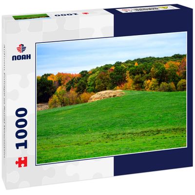 Noah Jigsaw Puzzle Autumn Foliage in Rural Wisconsin 1000 Pieces